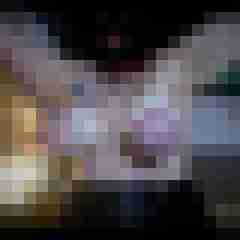 picturefreak