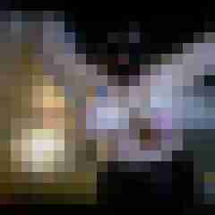 picturefreak