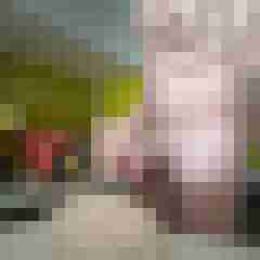 gerrycn