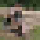 franzie01