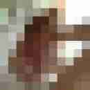 Carlchen