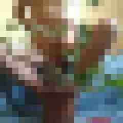 fabrixx19