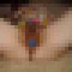 ifle50