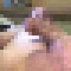 PittiX