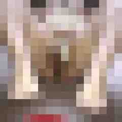 FickSchweine69