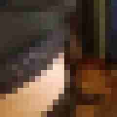 michael2904