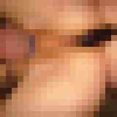 robertbilive