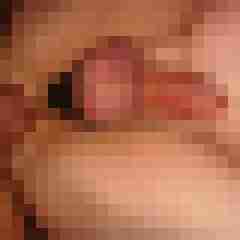 robertbilive