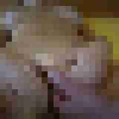 picturefreak