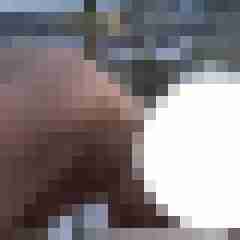 toppoint123