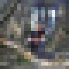 ficksiefoxi71
