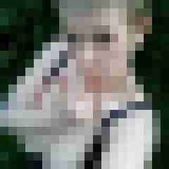 Mistbiene