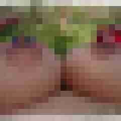 Lacrima99
