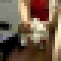 picturefreak