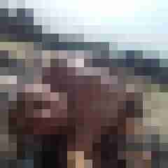 Kram