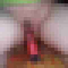 shrek869