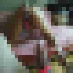 gerrycn