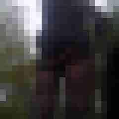 truckinnylons
