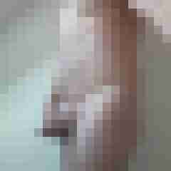 exib1
