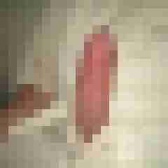 PeterNbg