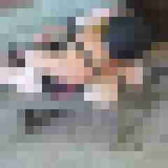 seemann0706