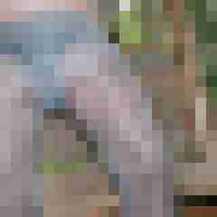 Haumphrey