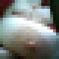Baecker07
