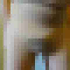 zzmicel