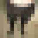 nylonjunge