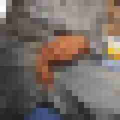 geileraltbock