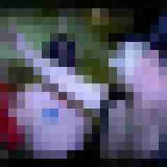picturefreak