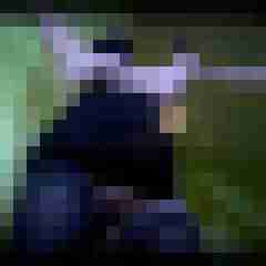 picturefreak