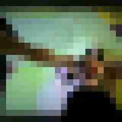 picturefreak