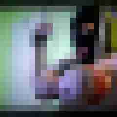 picturefreak