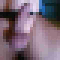 wilfried1234