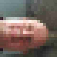 RAINER14121