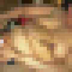 Toddel