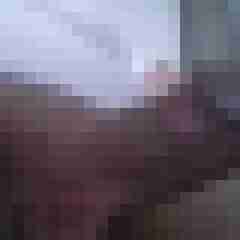 tomitomi