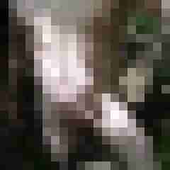 exib1