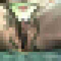 bunte8