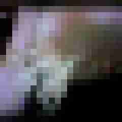picturefreak