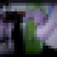 picturefreak