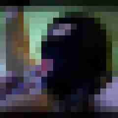 picturefreak