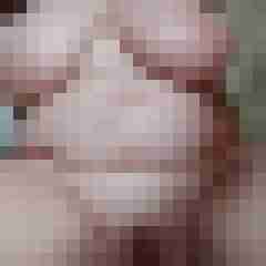 stutenlover