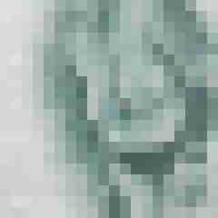 nettespaar4046
