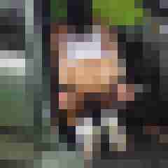 fickerfg