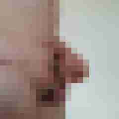 exib1