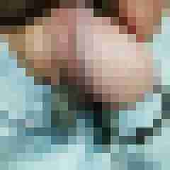 Die_Richtige_Nummer