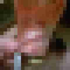 cbtfreund