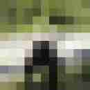 Rixi